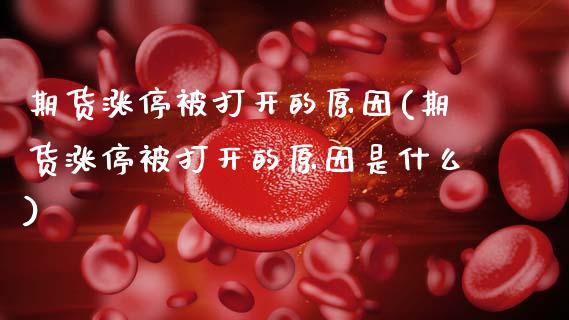 期货涨停被打开的原因(期货涨停被打开的原因是什么)_https://m.yjjixie.cn_恒生指数直播平台_第1张