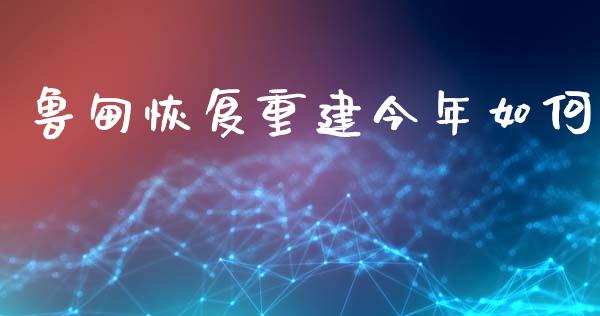 鲁甸恢复重建今年如何_https://m.yjjixie.cn_恒指期货直播间喊单_第1张