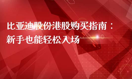 比亚迪股份港股购买指南：新手也能轻松入场_https://m.yjjixie.cn_恒生指数直播平台_第1张