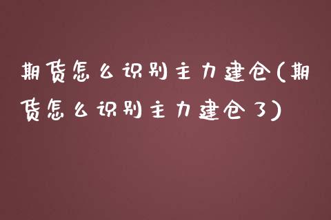 期货怎么识别主力建仓(期货怎么识别主力建仓了)_https://m.yjjixie.cn_恒指期货直播间喊单_第1张