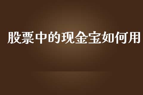 股票中的现金宝如何用_https://m.yjjixie.cn_恒生指数直播平台_第1张
