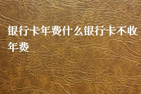 银行卡年费什么银行卡不收年费_https://m.yjjixie.cn_德指在线喊单直播室_第1张