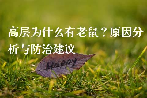 高层为什么有老鼠？原因分析与防治建议_https://m.yjjixie.cn_恒生指数直播平台_第1张