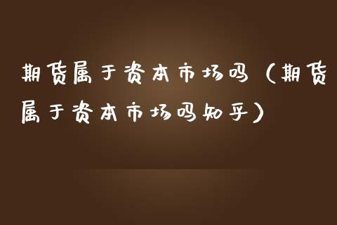 期货属于资本市场吗（期货属于资本市场吗知乎）_https://m.yjjixie.cn_恒生指数直播平台_第1张