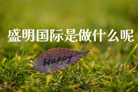 盛明国际是做什么呢_https://m.yjjixie.cn_纳指直播间_第1张