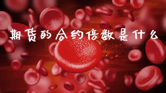 期货的合约倍数是什么_https://m.yjjixie.cn_恒生指数直播平台_第1张