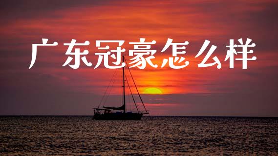 广东冠豪怎么样_https://m.yjjixie.cn_纳指直播间_第1张