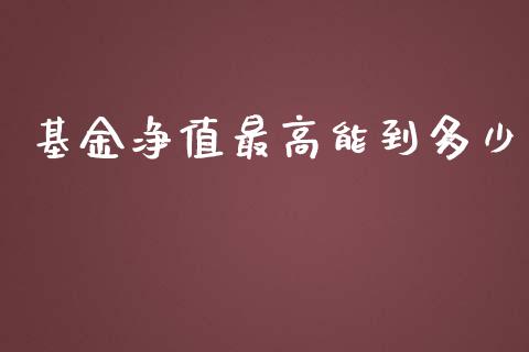 基金净值最高能到多少_https://m.yjjixie.cn_恒指期货直播间喊单_第1张