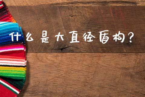什么是大直径盾构?_纳指直播间_第1张_恒生指数直播平台_恒指期货直播间喊单_德指在线喊单直播室_纳指直播间 什么是大直径盾构?_https://m.yjjixie.cn_纳指直播间_第1张