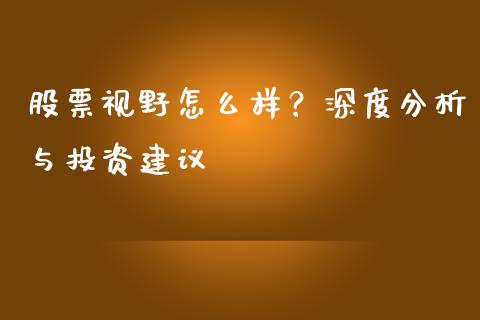 股票视野怎么样？深度分析与投资建议_https://m.yjjixie.cn_德指在线喊单直播室_第1张