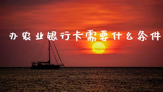 办农业银行卡需要什么条件_https://m.yjjixie.cn_恒指期货直播间喊单_第1张