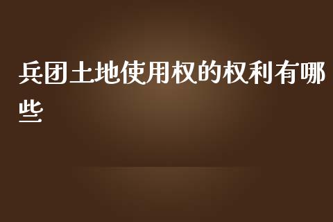 兵团土地使用权的权利有哪些_https://m.yjjixie.cn_德指在线喊单直播室_第1张