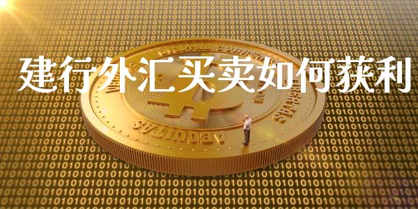 建行外汇买卖如何获利_https://m.yjjixie.cn_恒生指数直播平台_第1张