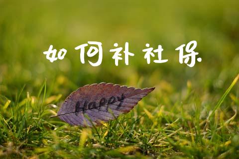 如何补社保_https://m.yjjixie.cn_恒生指数直播平台_第1张