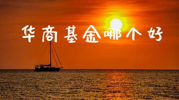 华商基金哪个好_https://m.yjjixie.cn_纳指直播间_第1张